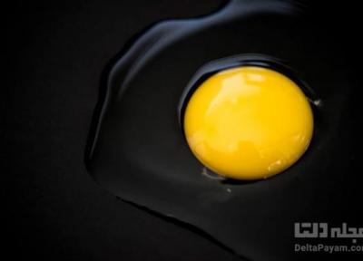 خواص و مضرات زرده تخم مرغ چیست؟