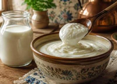 طرز تهیه ماست گاوی با تمام ترفندها